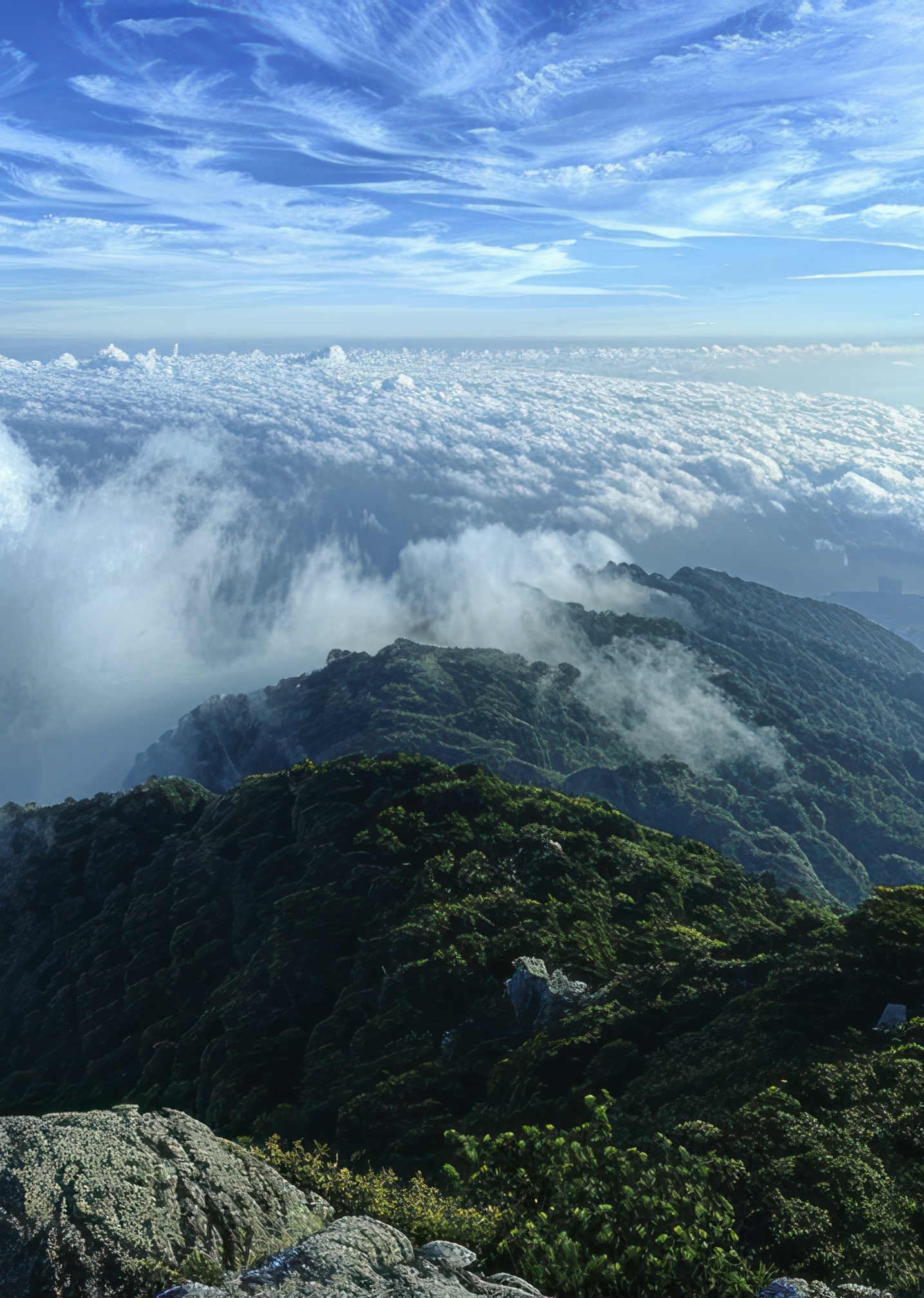 meishii-yunno-jing-se (1)